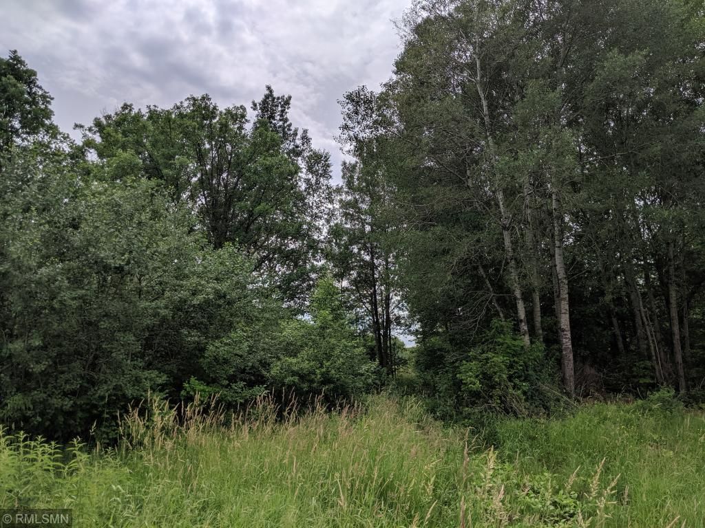 Mora, Kanabec County, MN Undeveloped Land for sale Property ID