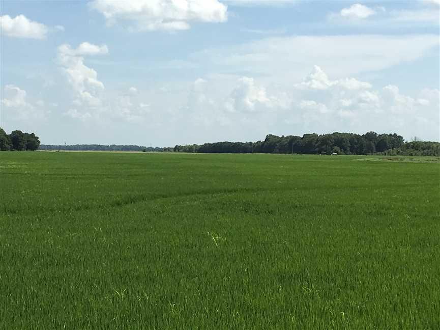 Weiner, Craighead County, AR Farms and Ranches, Recreational Property