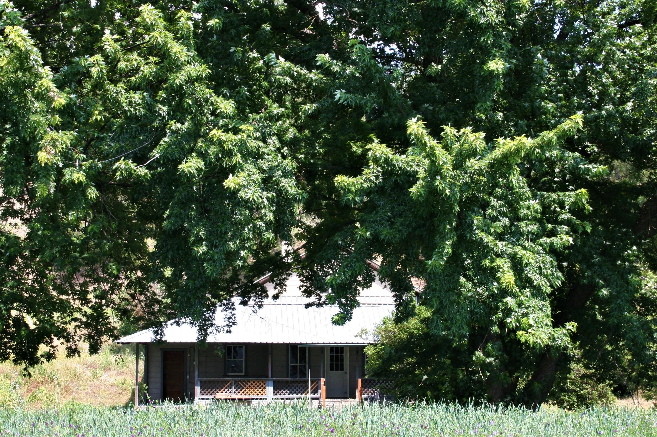 Colville, Stevens County, WA House for sale Property ID 335575451