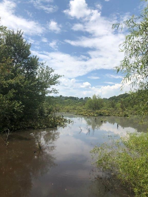 Sparta, Hancock County, GA Recreational Property, Hunting Property for