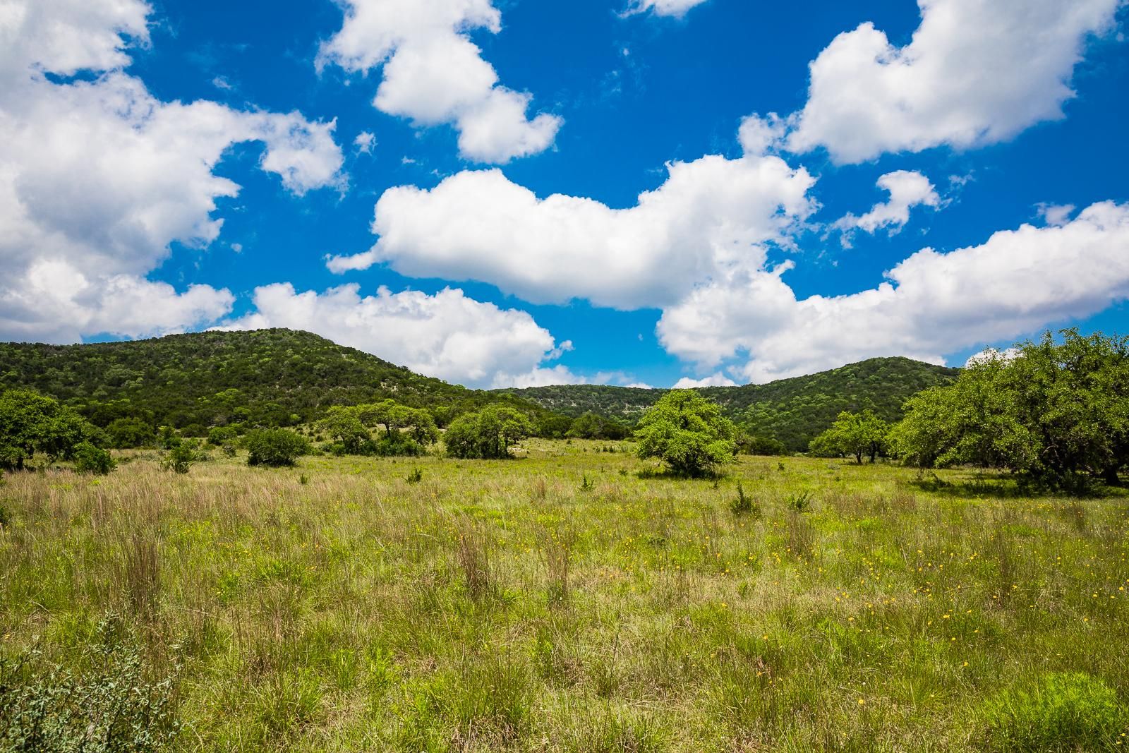 Tarpley, Bandera County, TX Farms and Ranches, Recreational Property