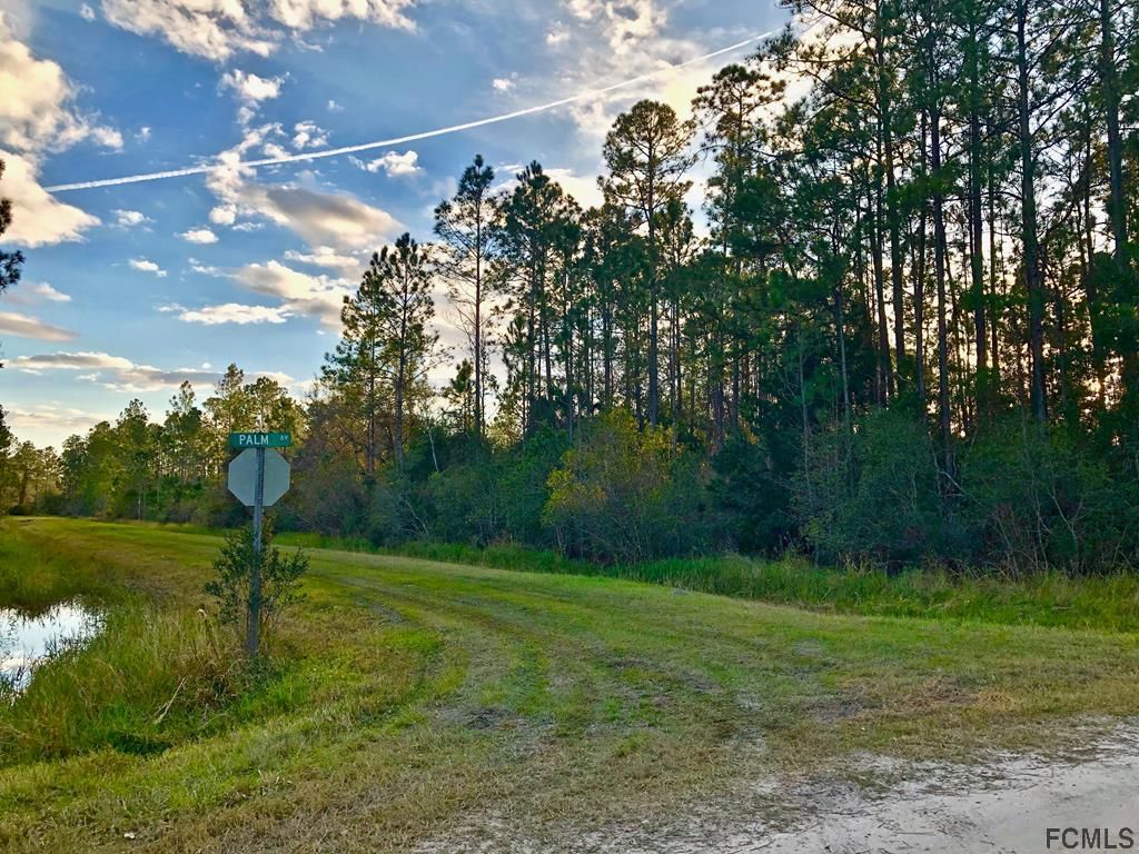 Bunnell, Flagler County, FL Undeveloped Land, Homesites for sale Property ID 335618584 LandWatch
