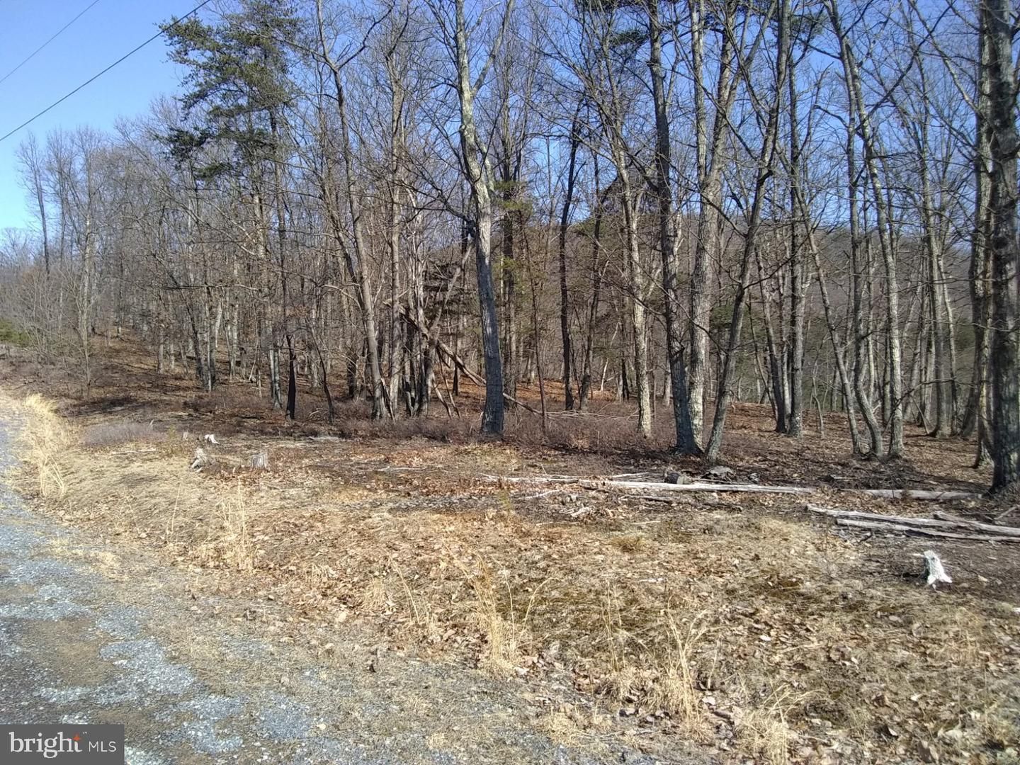 Springfield, Hampshire County, WV Recreational Property, Hunting