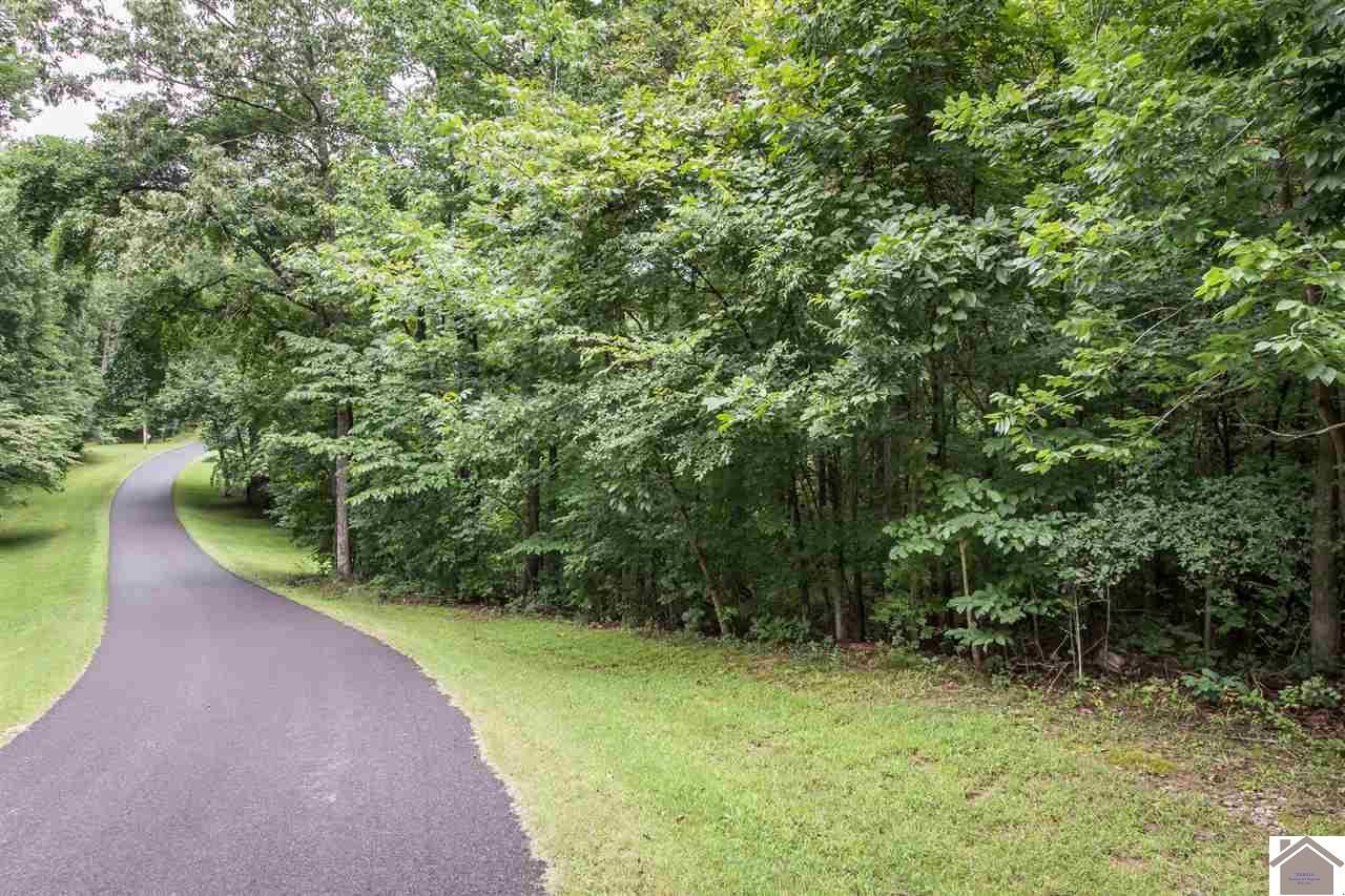 Kuttawa, Lyon County, KY Undeveloped Land, Homesites for sale Property