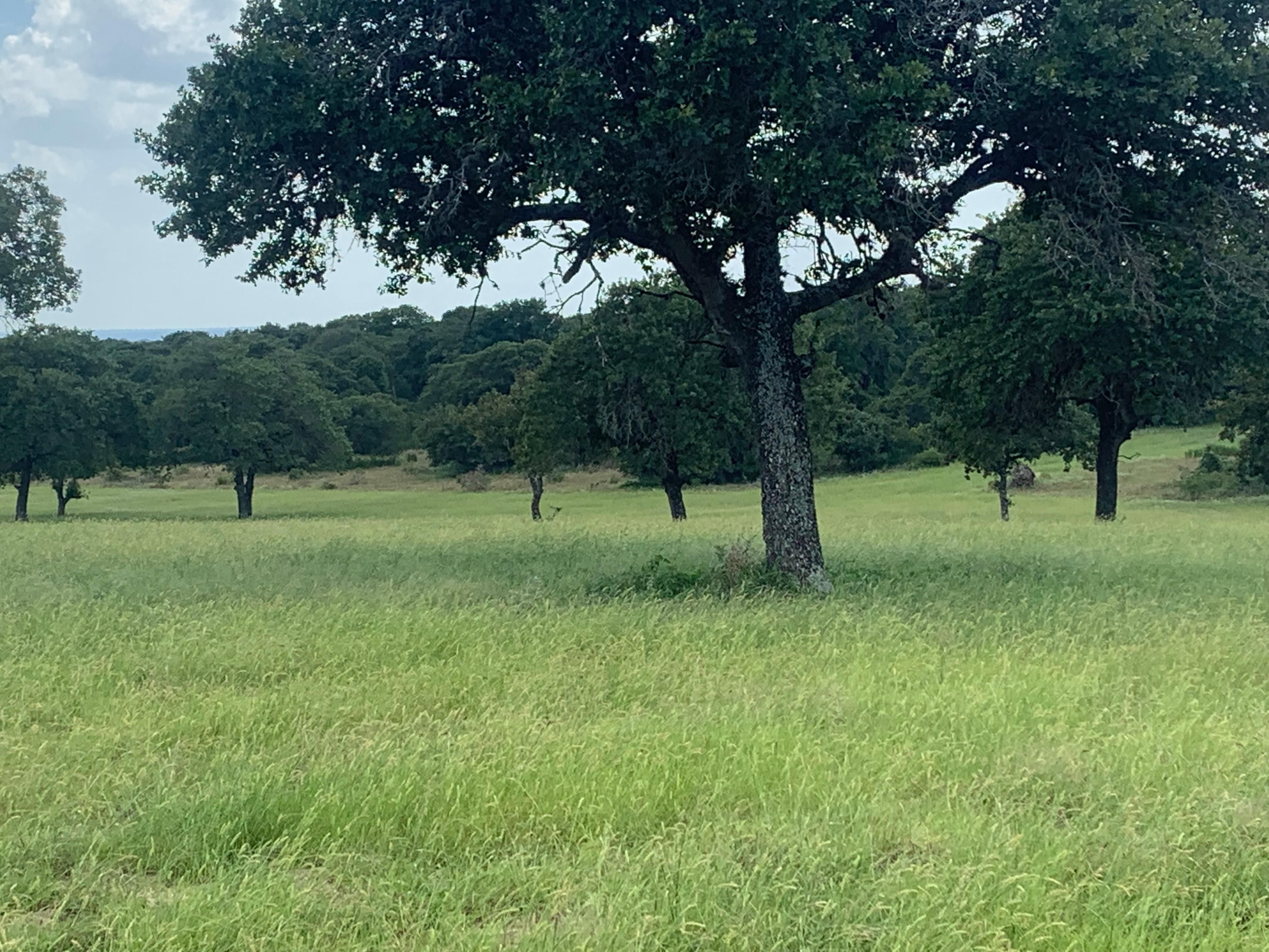 Adkins, Wilson County, TX Farms and Ranches, House for sale Property ID