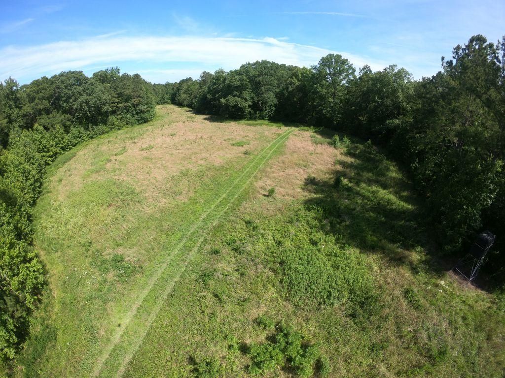 Littleton, Halifax County, NC Recreational Property, Timberland Property, Hunting Property for