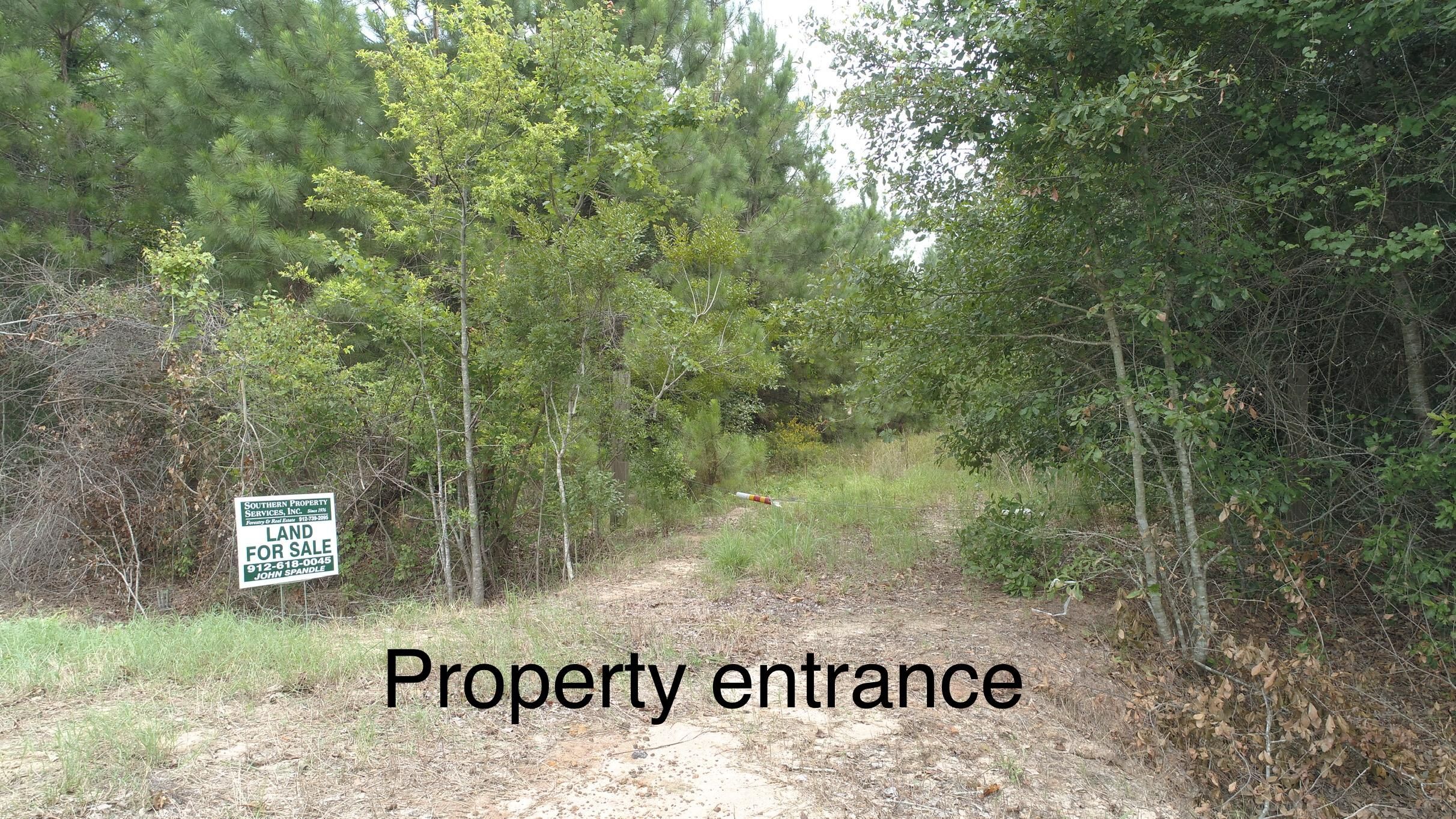 Glennville, Tattnall County, GA Timberland Property, Hunting Property
