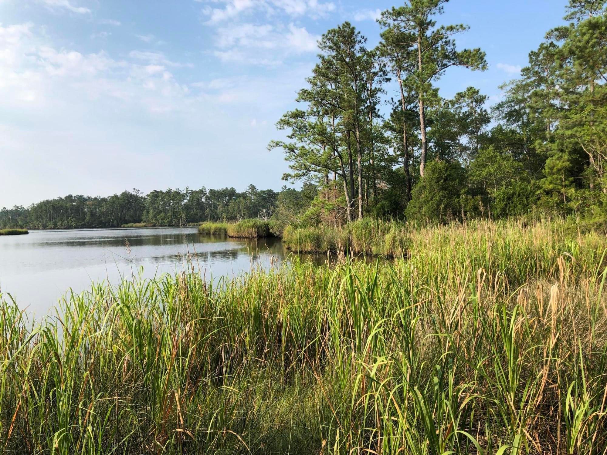 Vandemere, Pamlico County, NC Undeveloped Land, Lakefront Property