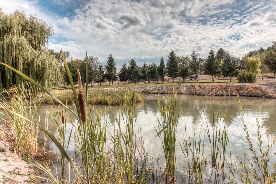 Selah, Yakima County, WA House for sale Property ID 335635165 LandWatch