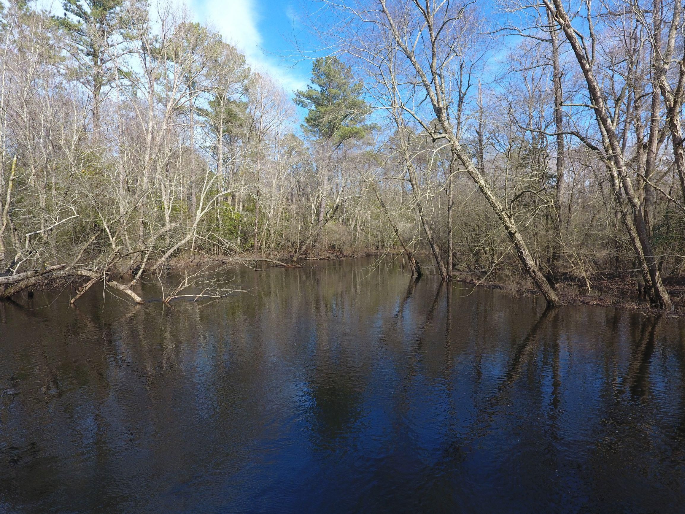 Garland, Sampson County, NC Recreational Property, Timberland Property