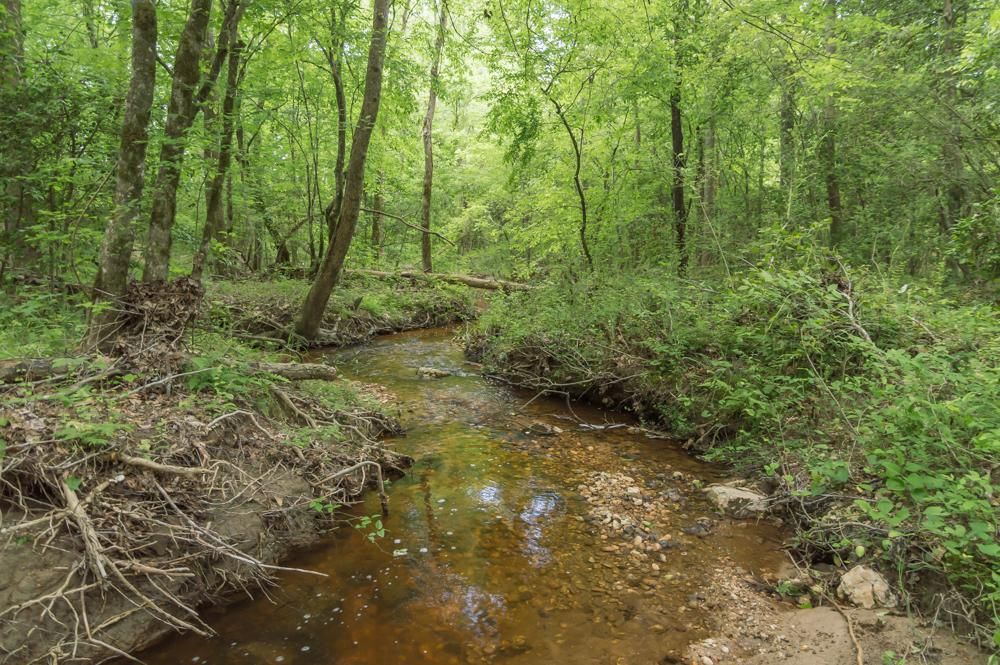 Rockingham, Richmond County, NC Recreational Property, Timberland