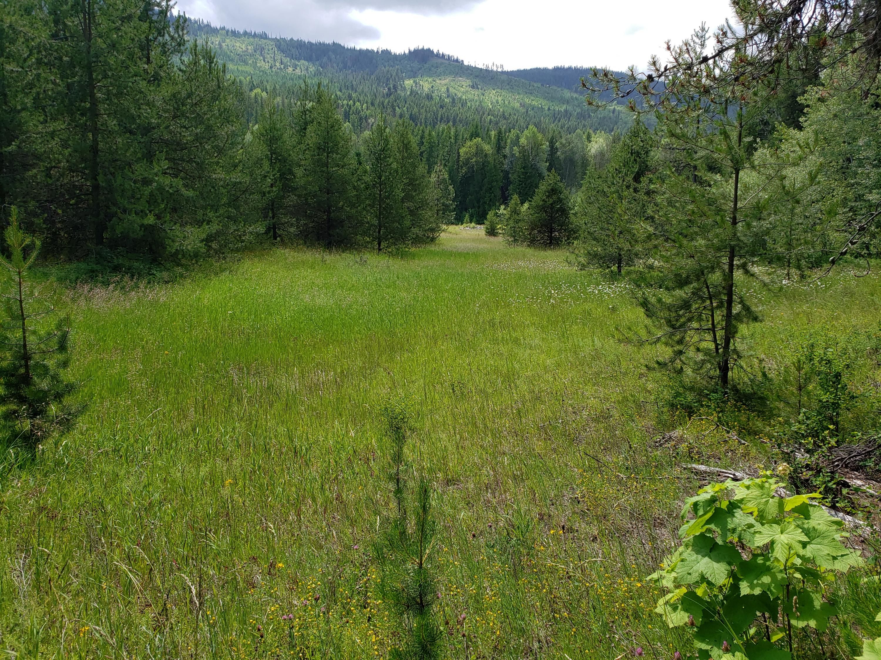Colville, Stevens County, WA Undeveloped Land for sale Property ID