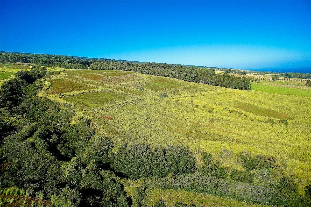 Papaaloa, Hawaii County, HI Undeveloped Land for sale Property ID