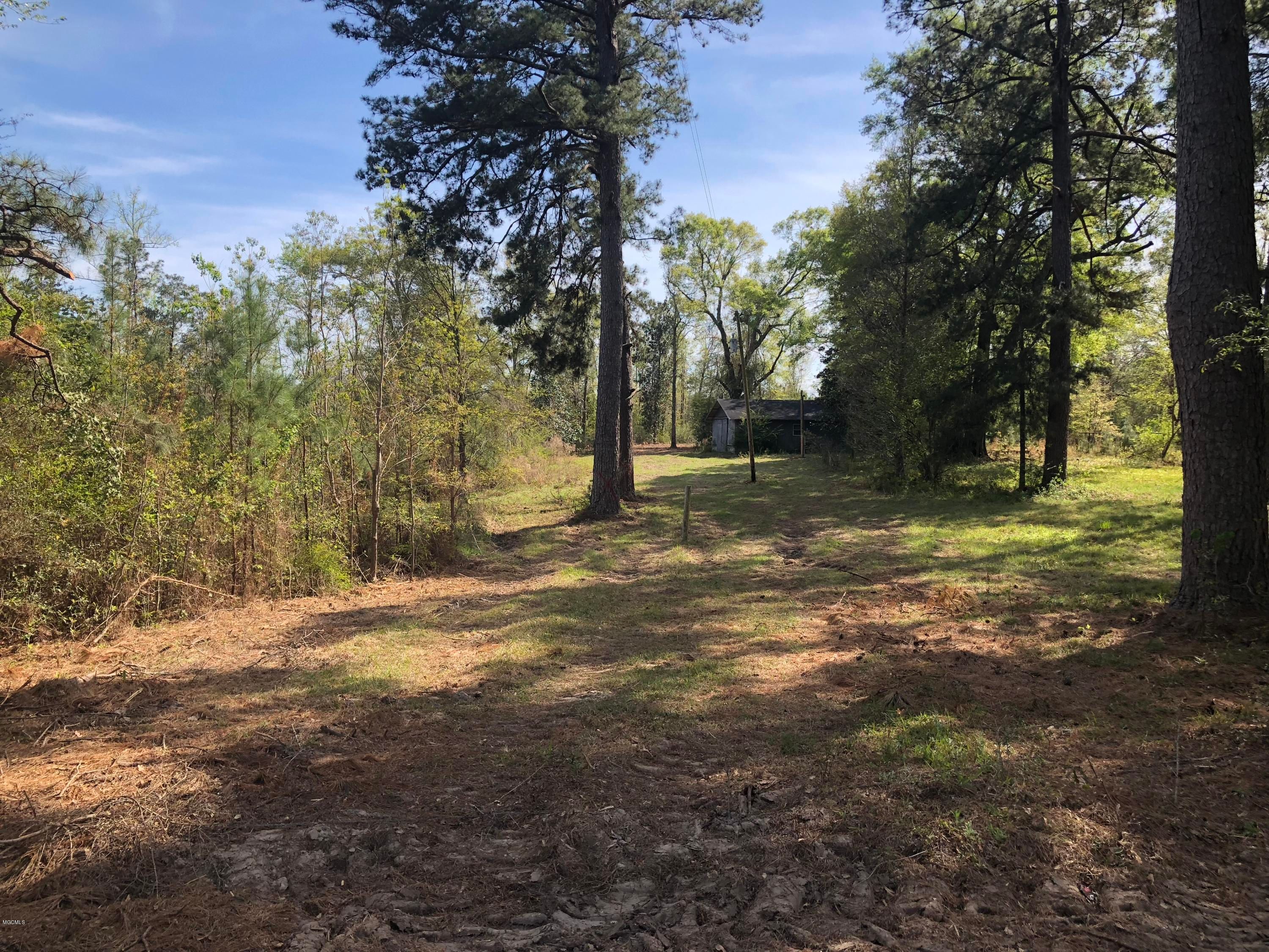 Wiggins, Stone County, MS Undeveloped Land for sale Property ID