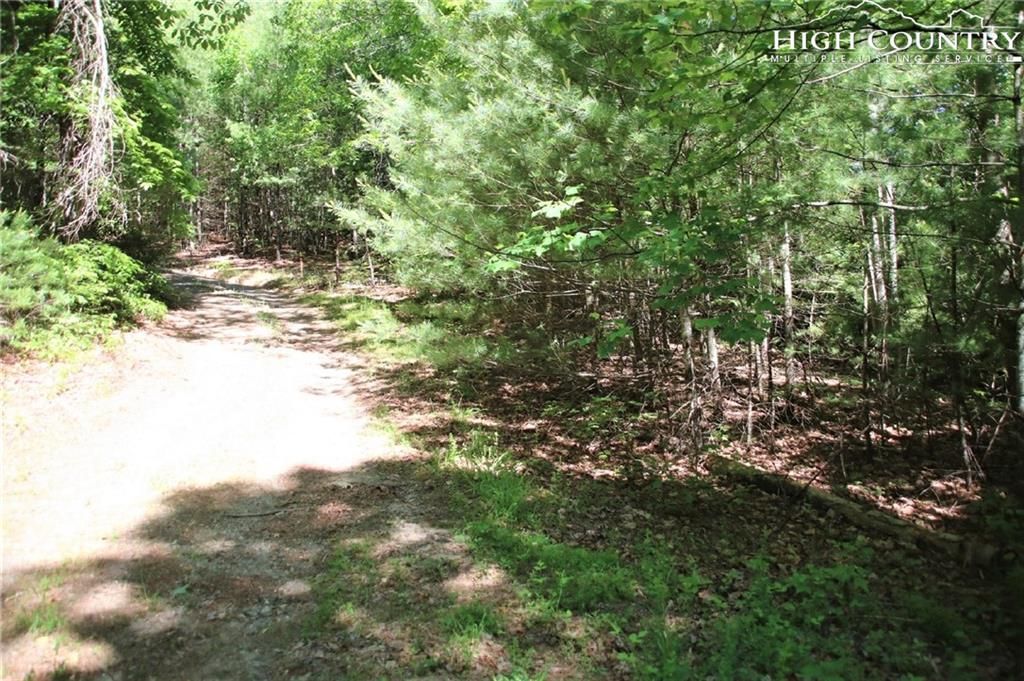 Millers Creek, Wilkes County, NC Undeveloped Land for sale Property ID