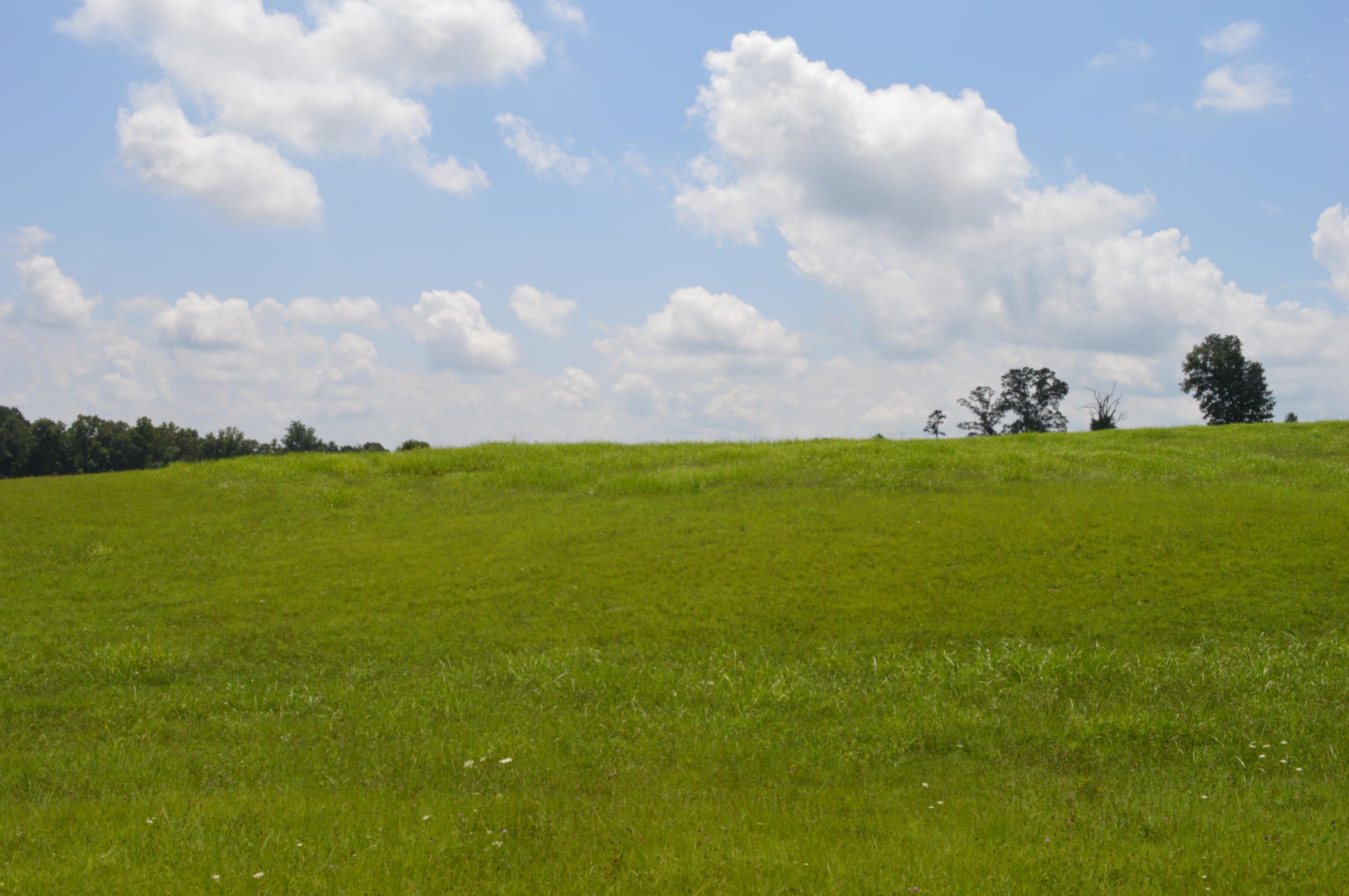 Blaine, Grainger County, TN Undeveloped Land for sale Property ID