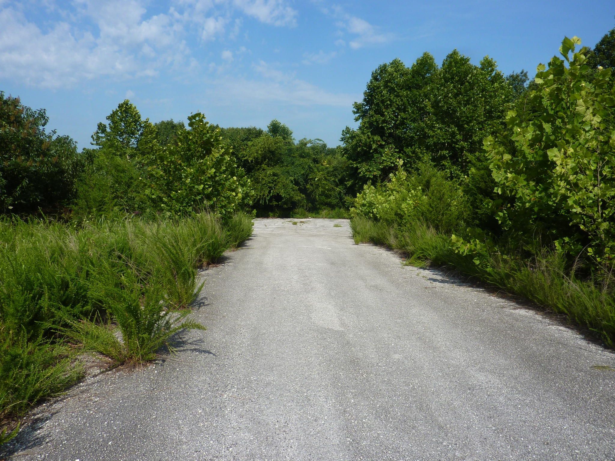 Highlandville, Christian County, MO Undeveloped Land for sale Property