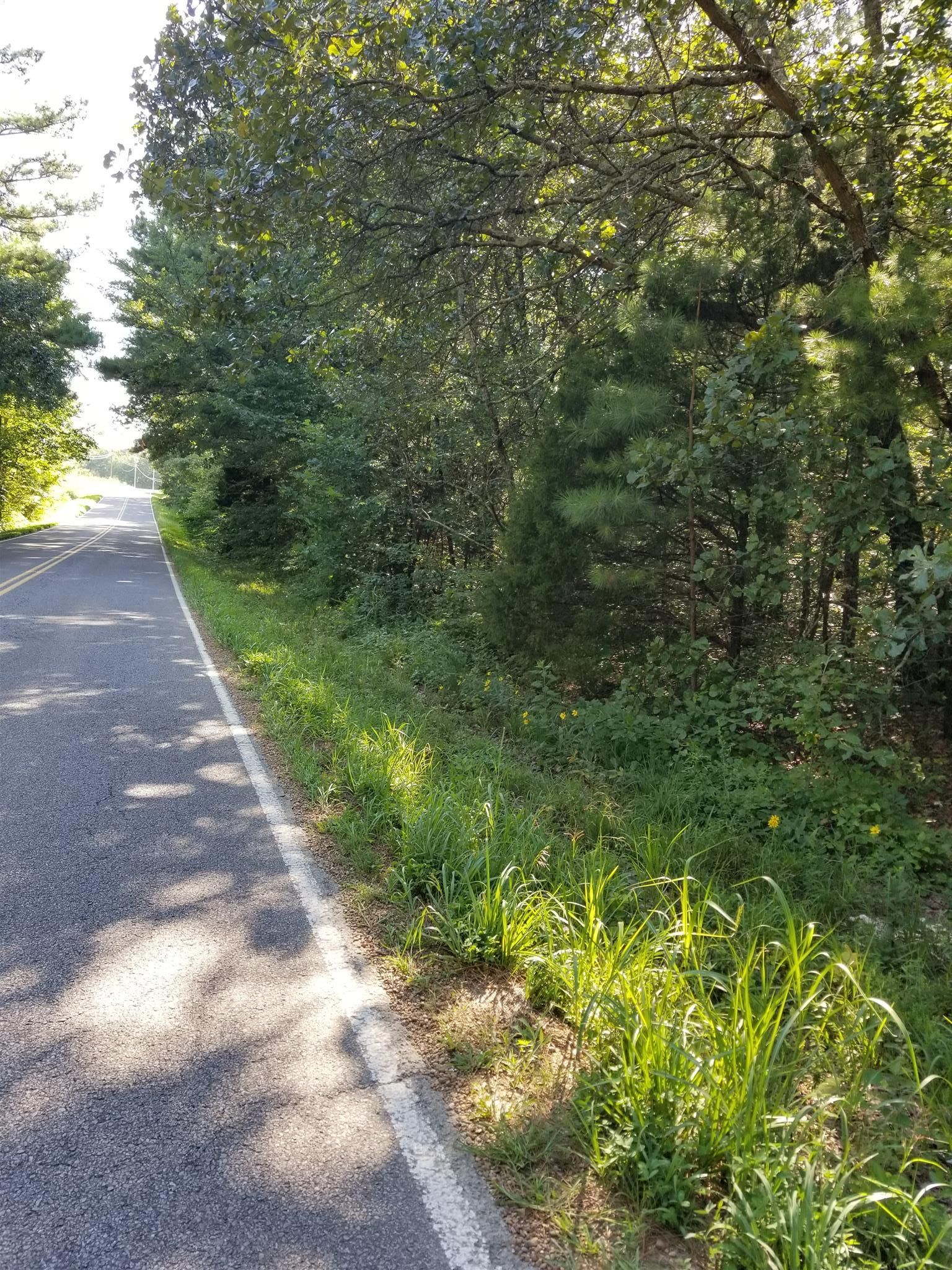 Lyles, Hickman County, TN Undeveloped Land for sale Property ID