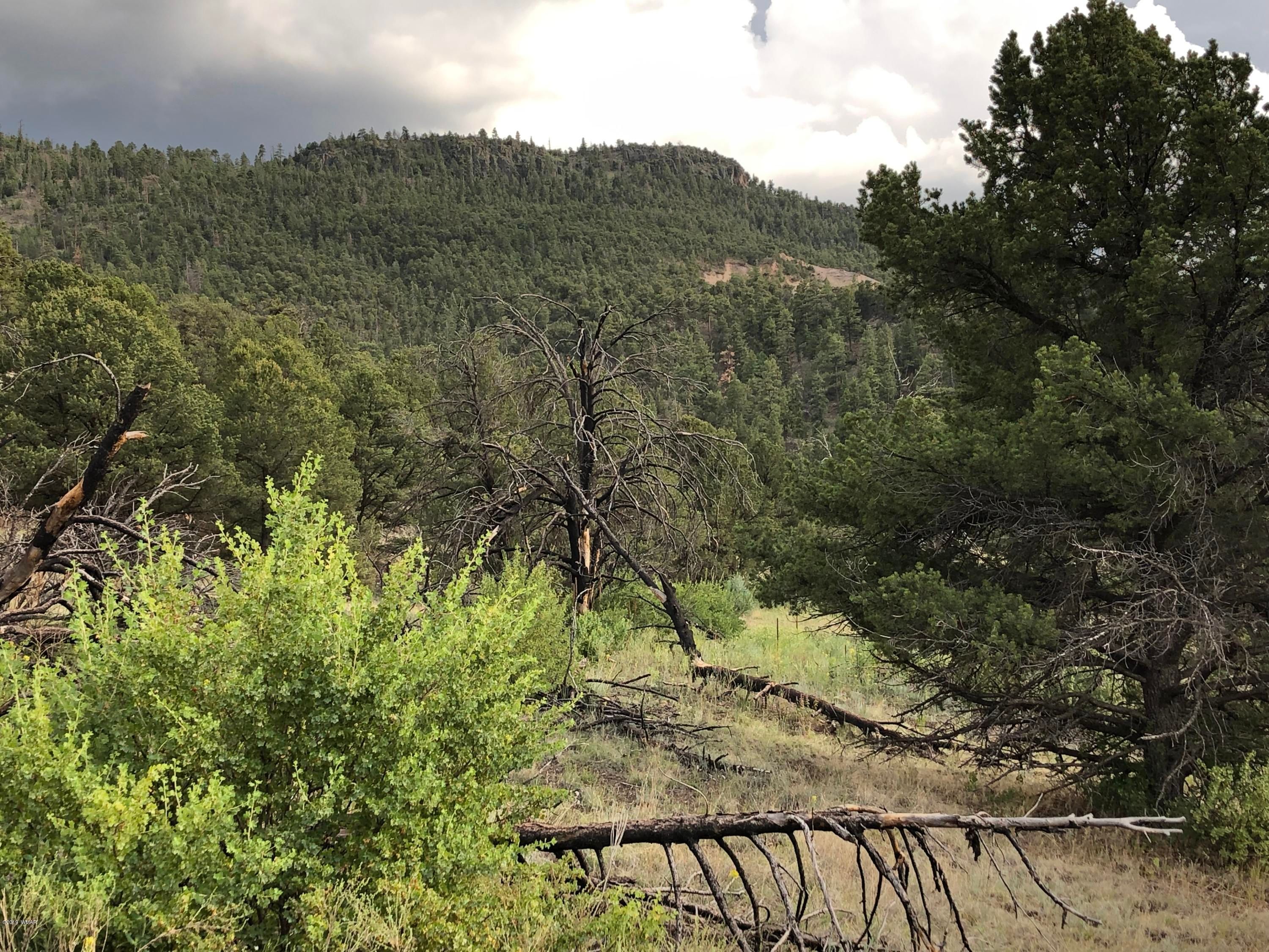 Nutrioso, Apache County, AZ Undeveloped Land for sale Property ID