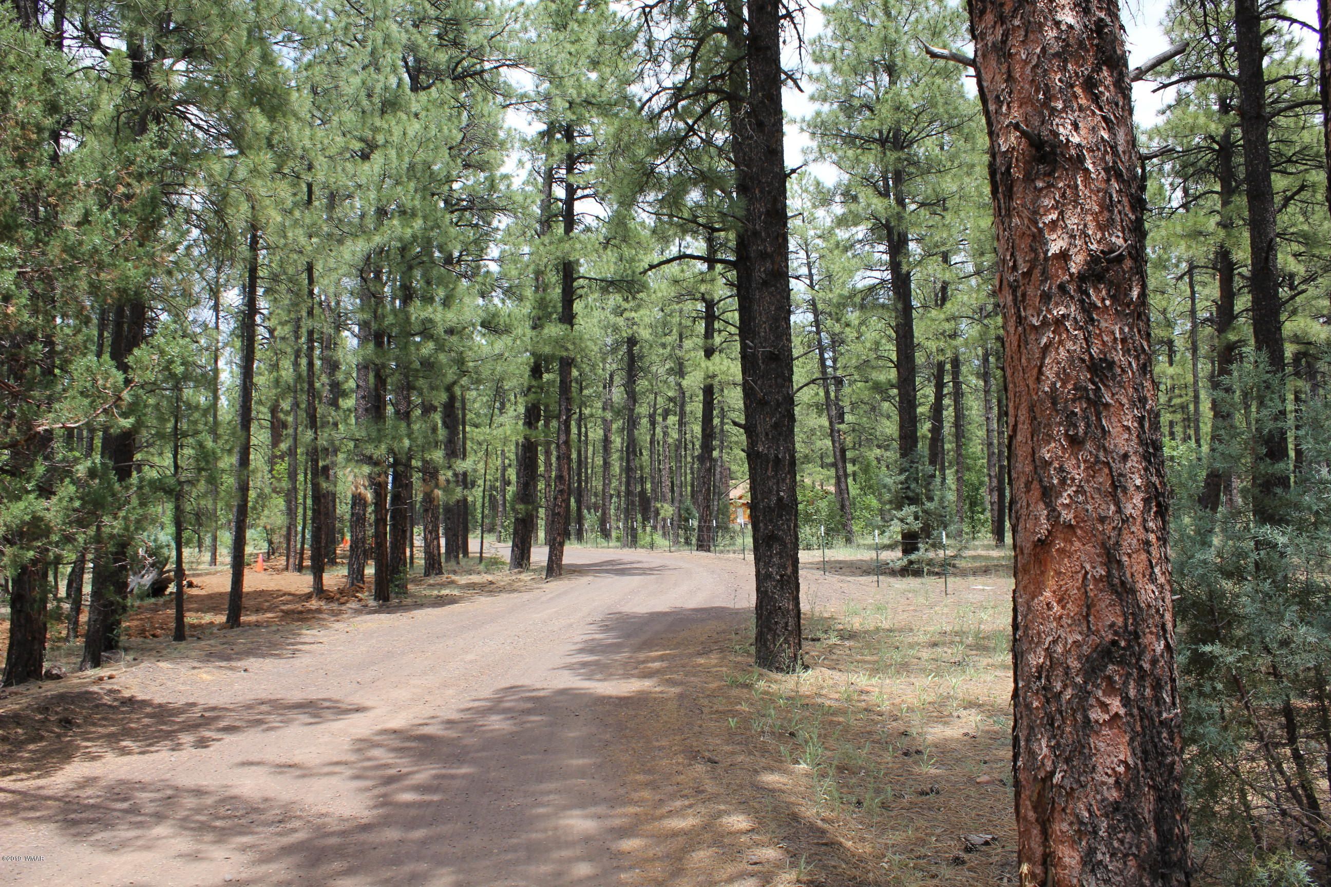 Navajo County, AZ Undeveloped Land, Homesites for sale