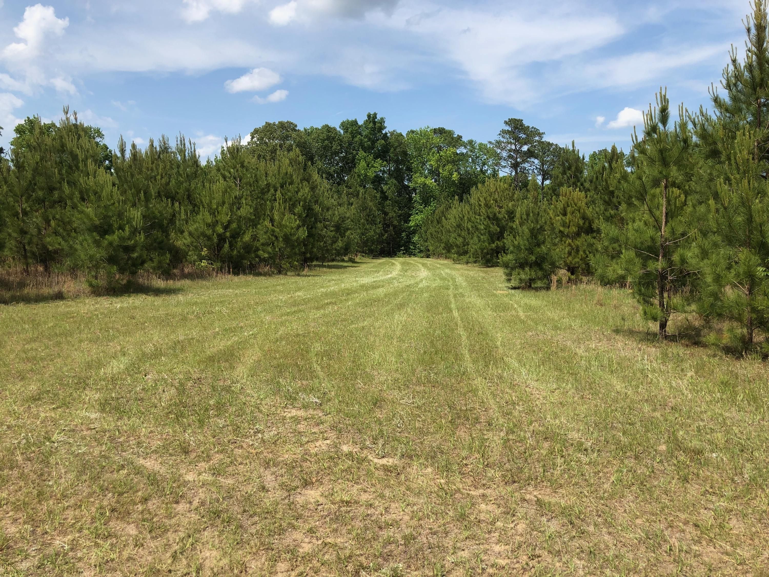 Junction City, Talbot County, GA Farms and Ranches, Recreational