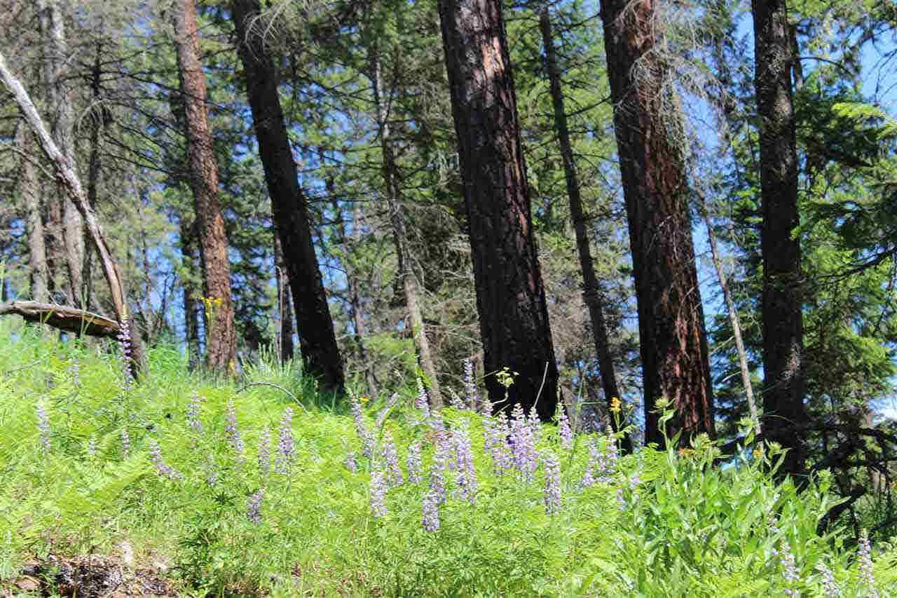 Kooskia, Idaho County, ID Timberland Property, Undeveloped Land