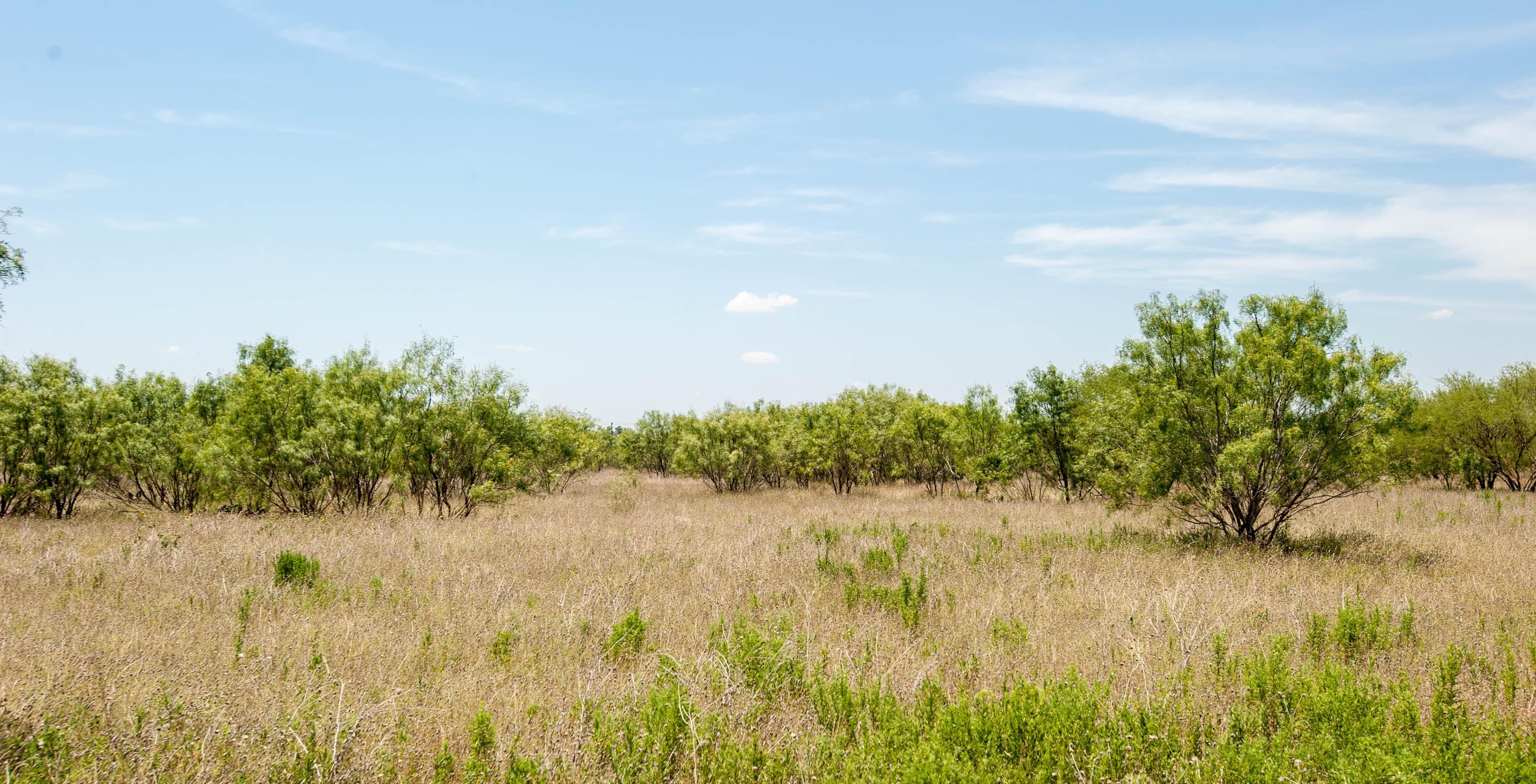 Uvalde, Uvalde County, TX Recreational Property, Hunting Property for