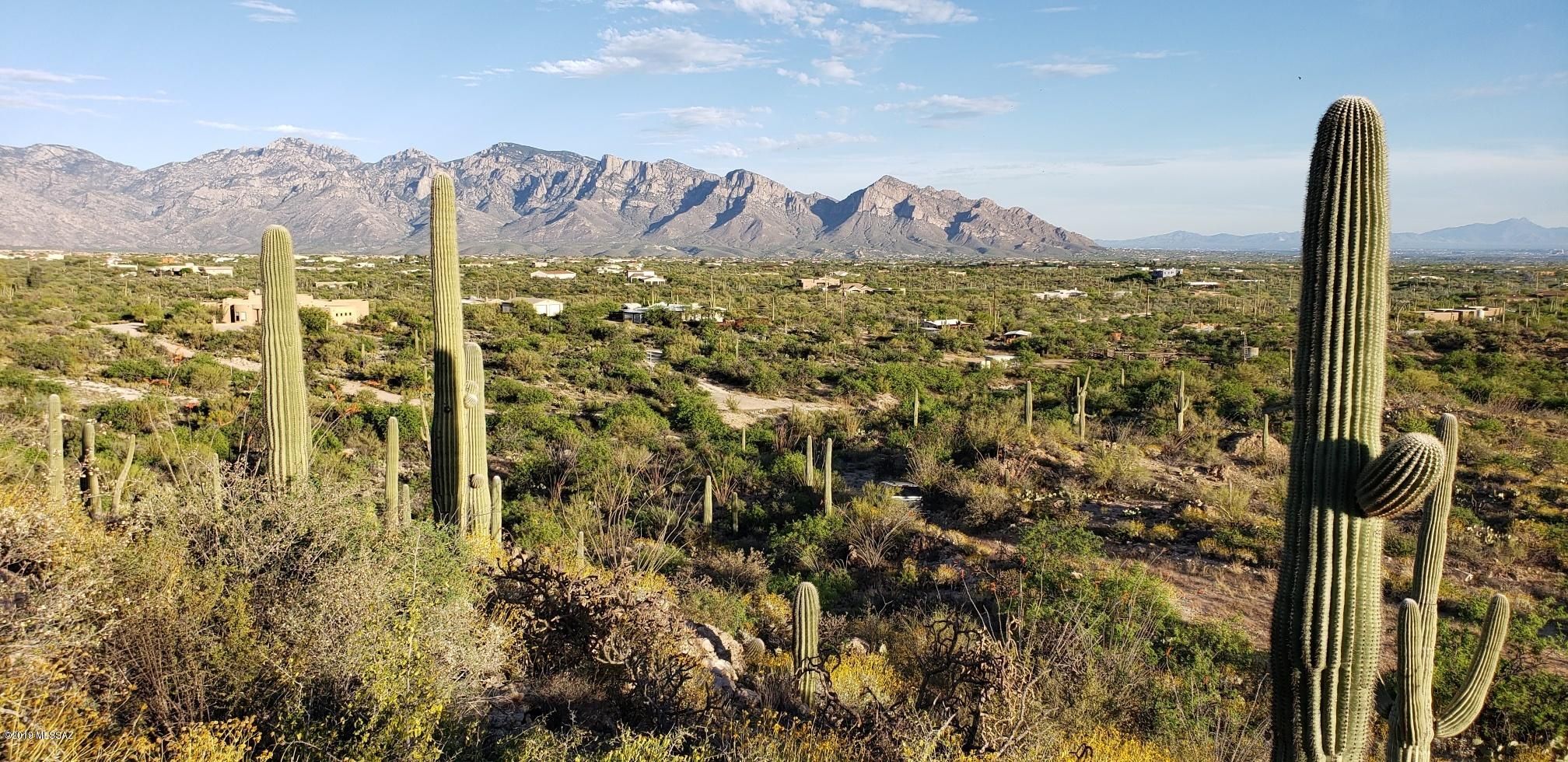 Oro Valley, Pima County, AZ Undeveloped Land for sale Property ID