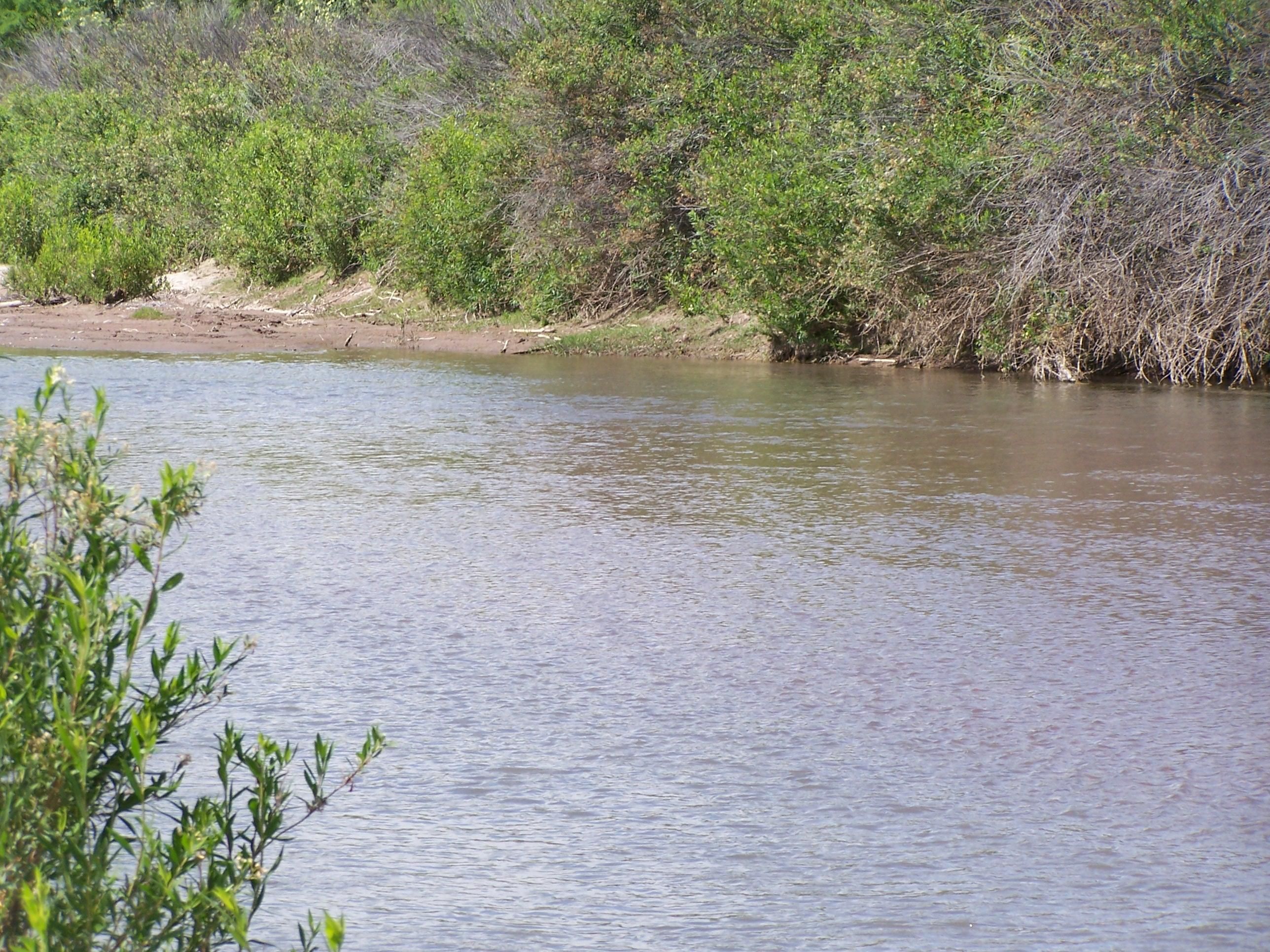 York, Greenlee County, AZ Farms and Ranches, Horse Property, House for