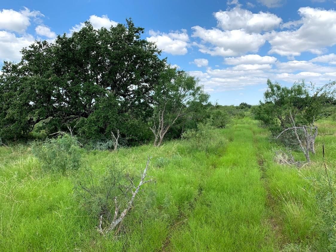 Menard, Menard County, TX Farms and Ranches, Recreational Property