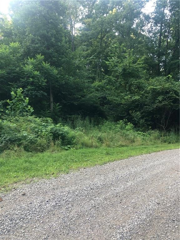Hammondsville, Jefferson County, OH Undeveloped Land for sale Property