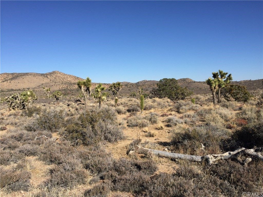 Pioneertown, San Bernardino County, CA Undeveloped Land for sale