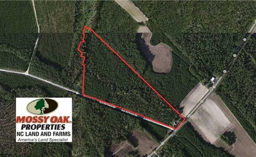 Tabor City, Columbus County, NC Recreational Property, Timberland