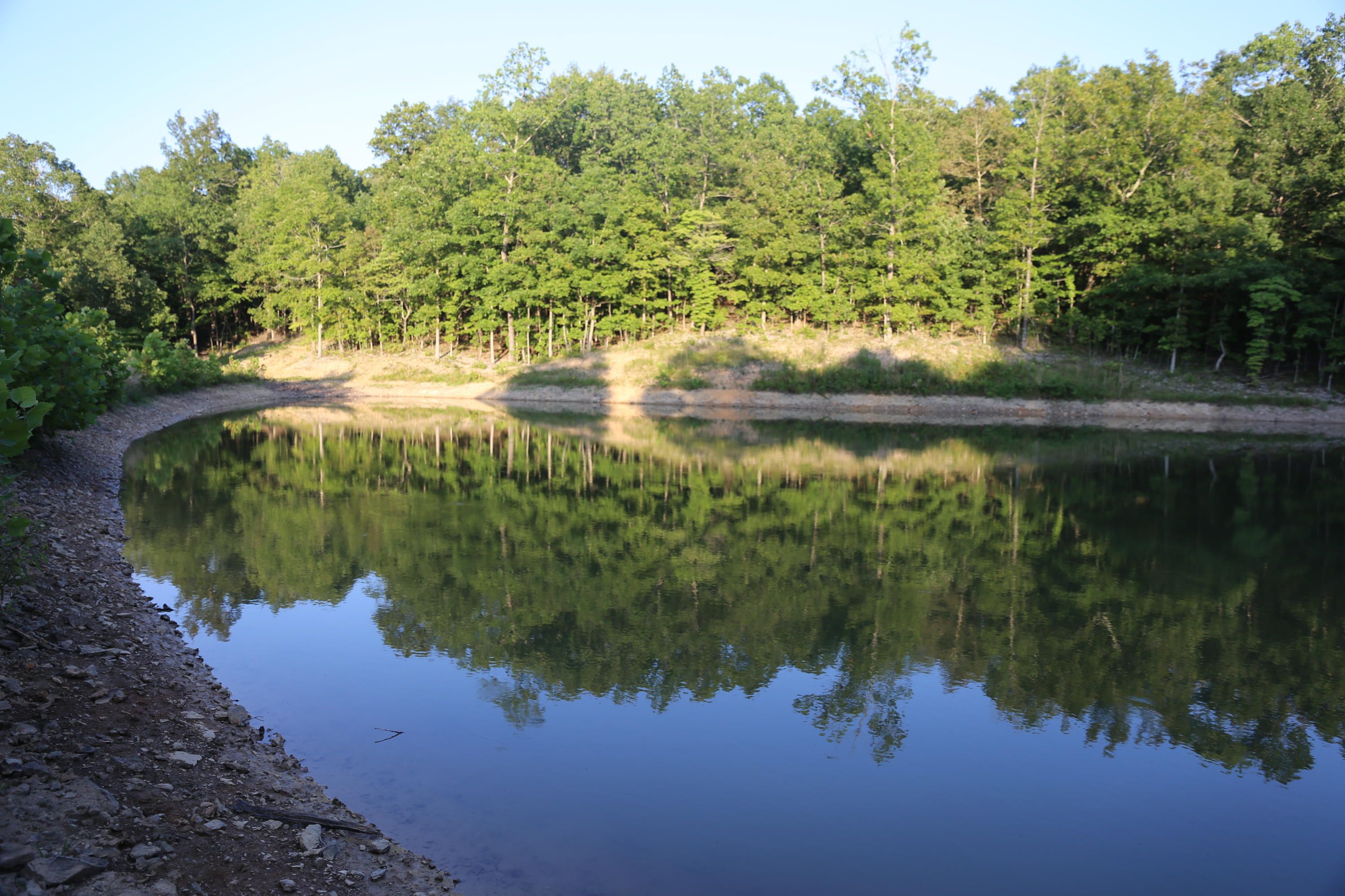 Willow Springs, Texas County, MO Undeveloped Land for sale Property ID