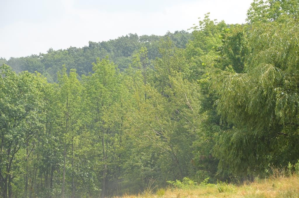 Sayre, Bradford County, PA Undeveloped Land for sale Property ID