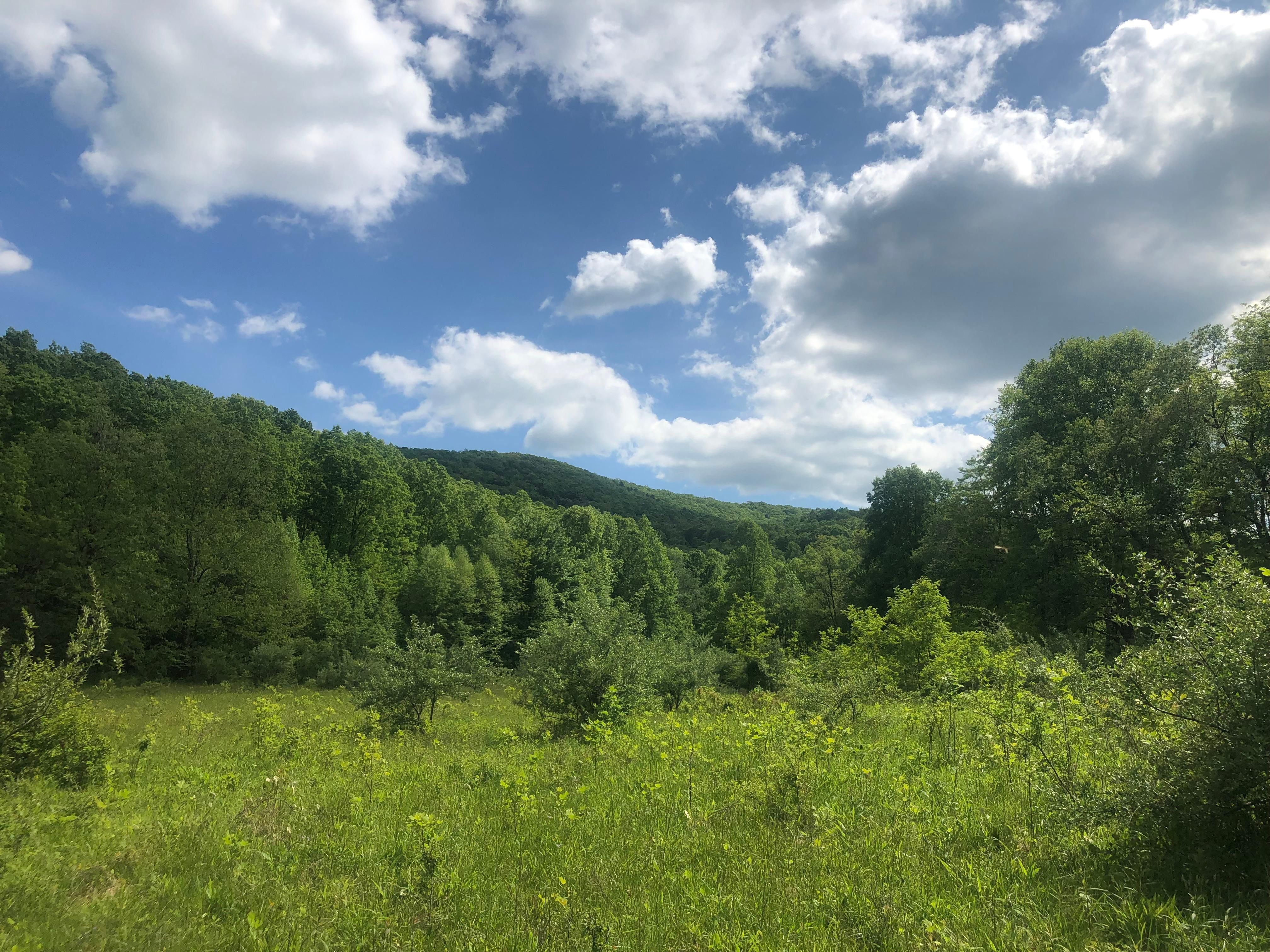 Rocky Gap, Bland County, VA Recreational Property, Undeveloped Land for