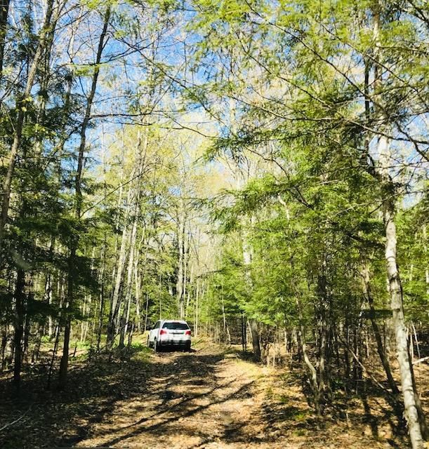 Fish Creek, Door County, WI Undeveloped Land for sale Property ID