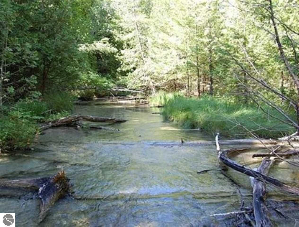 Maple City, Leelanau County, MI Undeveloped Land, Lakefront Property