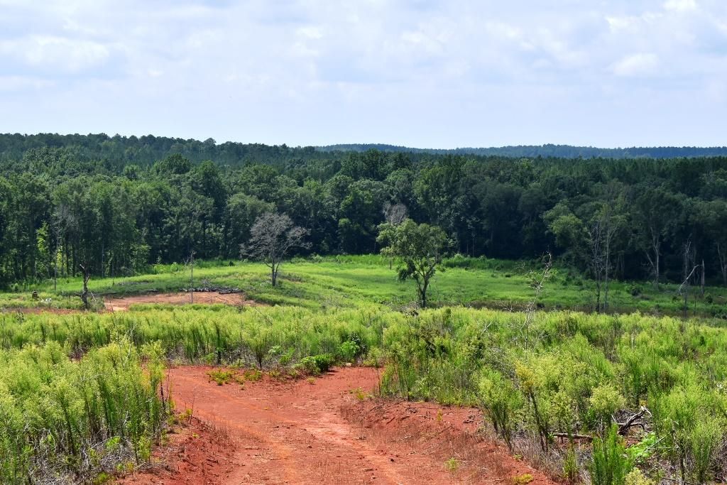 Culloden, Upson County, GA Recreational Property, Timberland Property