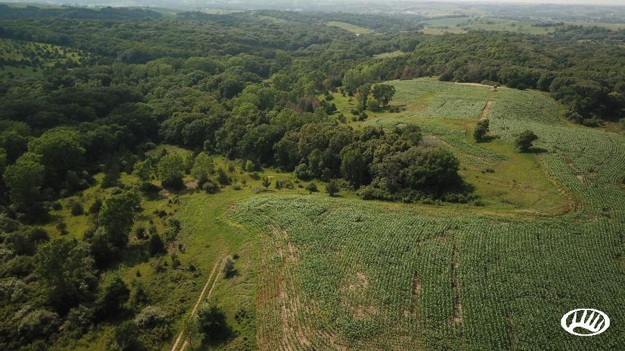 Sioux City, Woodbury County, IA Recreational Property, Timberland