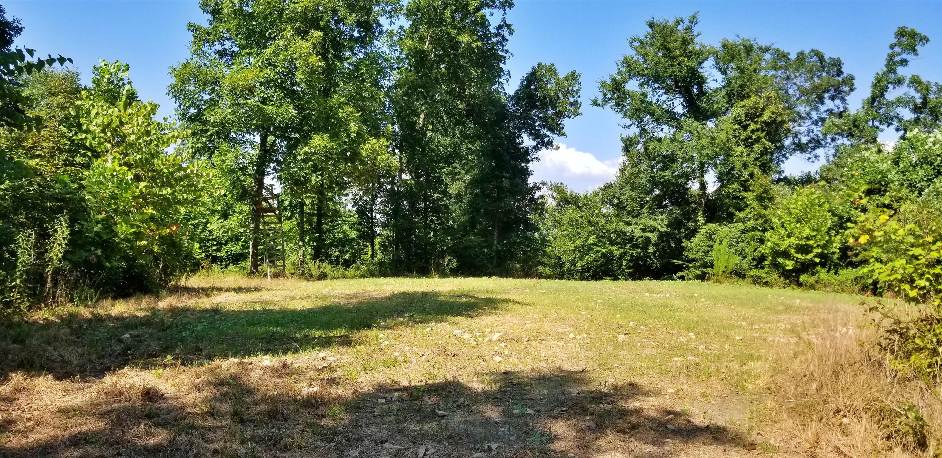 Waverly, Humphreys County, TN Undeveloped Land for sale Property ID