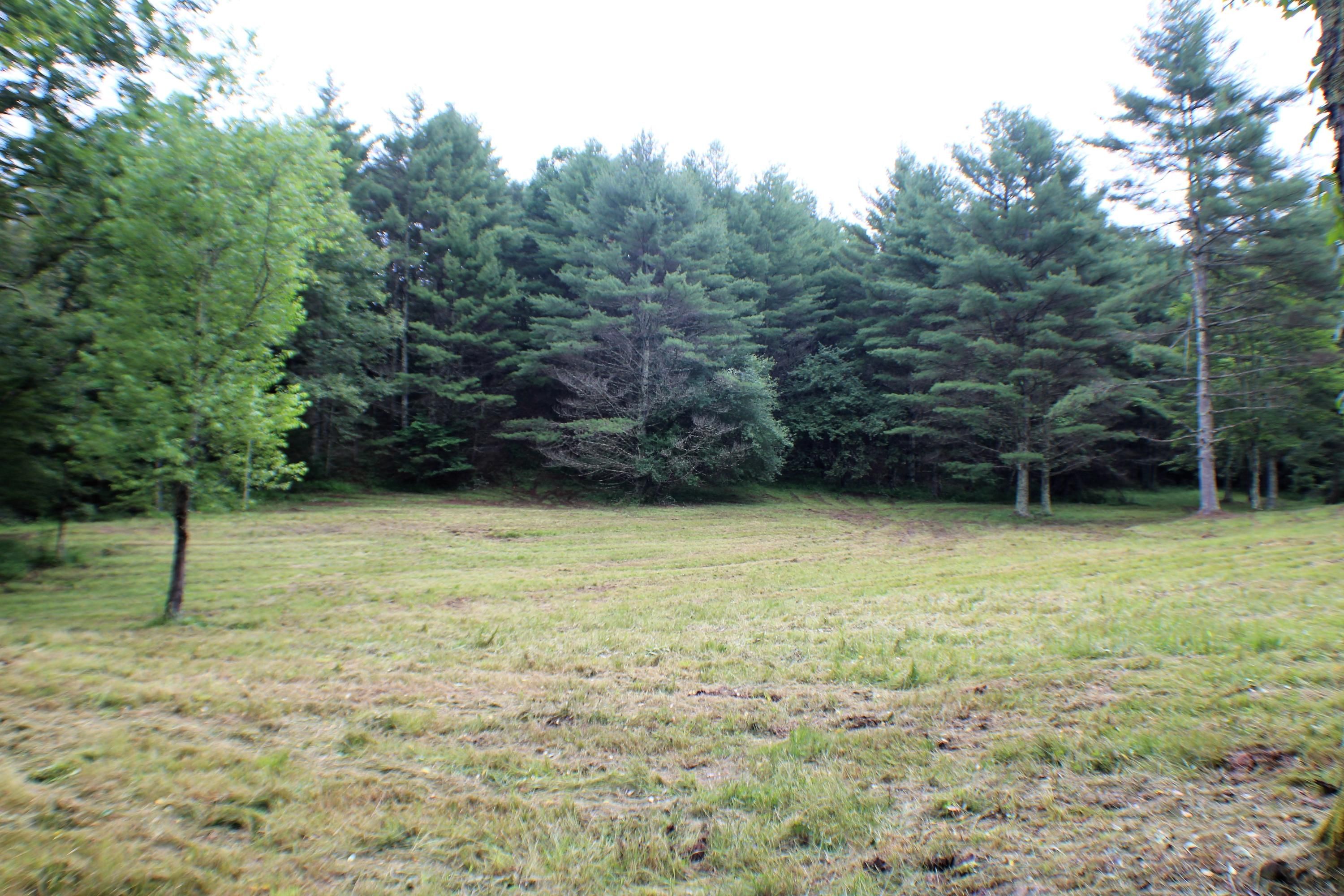 Marlinton, Pocahontas County, WV Undeveloped Land for sale Property ID