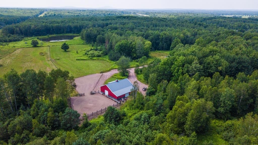 Ringle, Marathon County, WI Lakefront Property, Waterfront Property