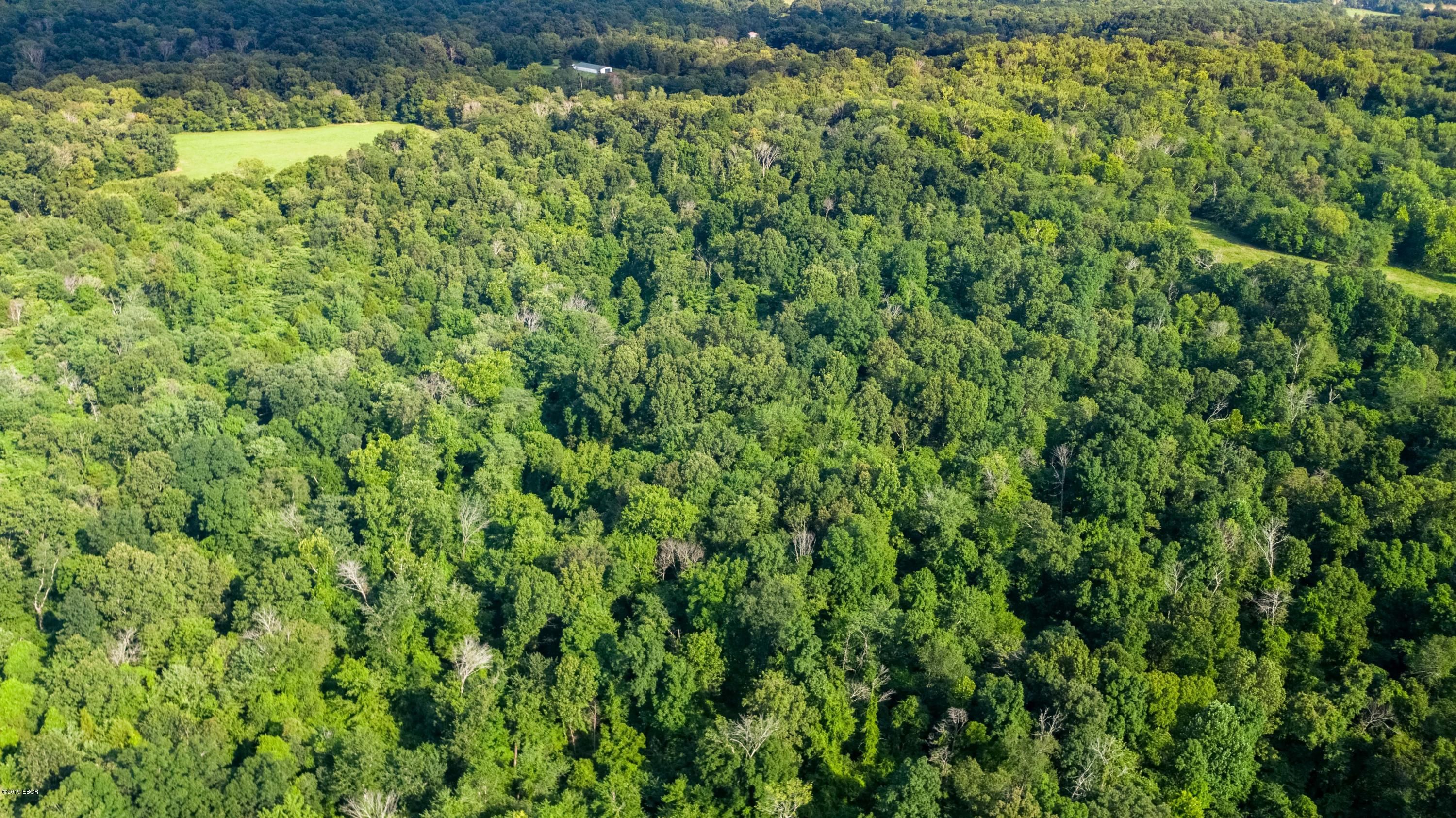 Stonefort, Williamson County, IL Undeveloped Land for sale Property ID