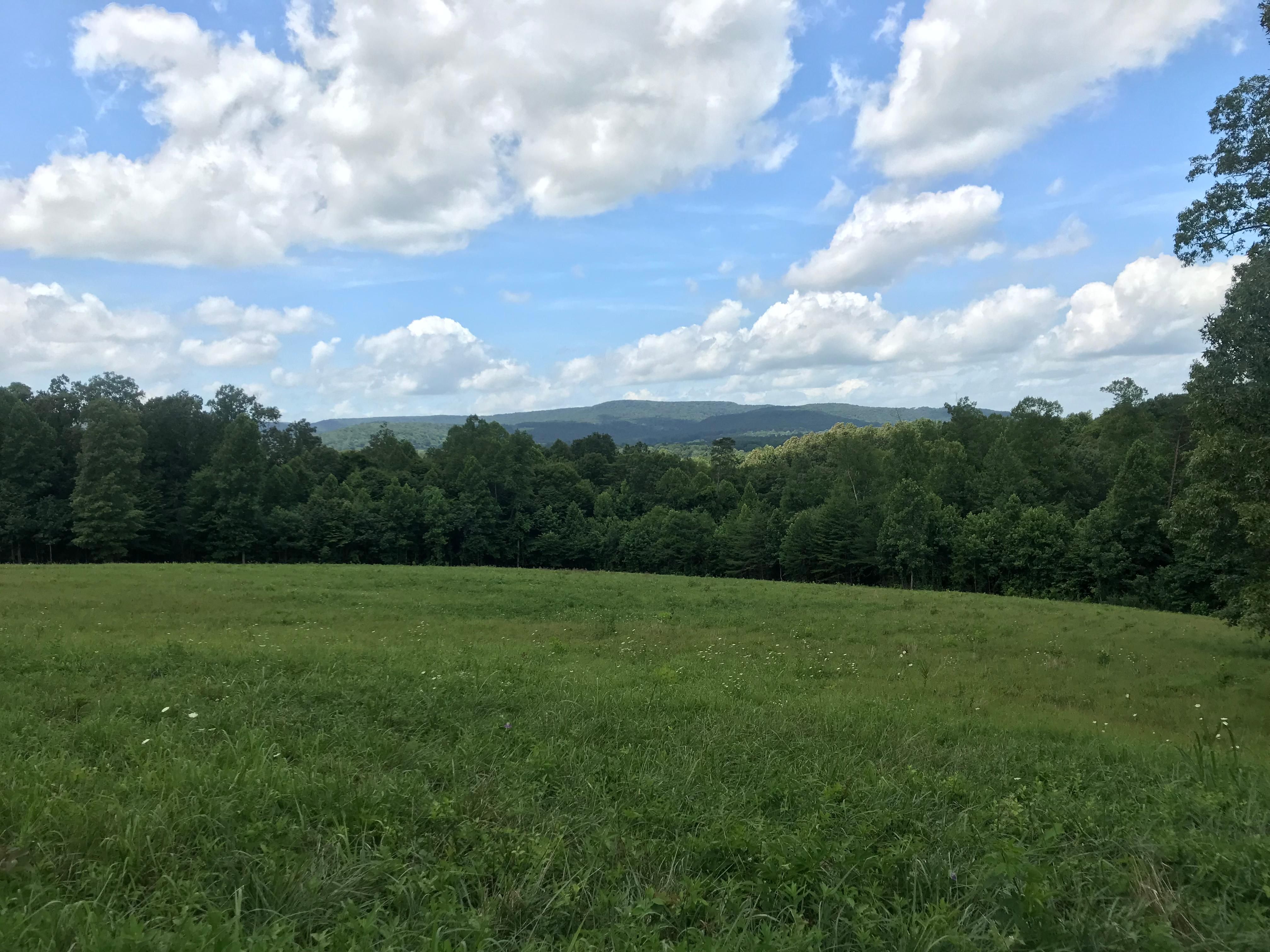 McMinnville, Warren County, TN Timberland Property, Undeveloped Land