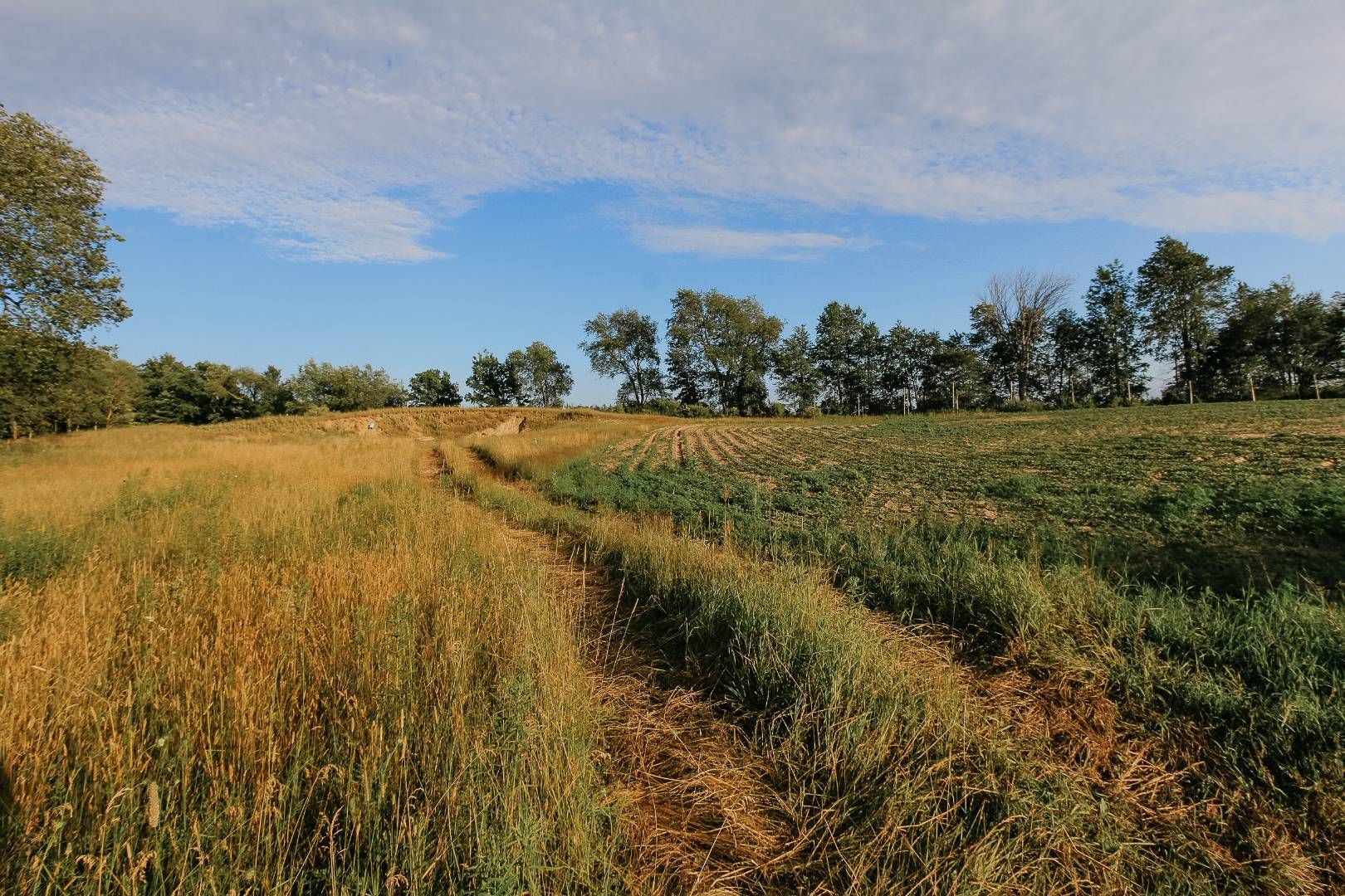 Remus, Mecosta County, MI Undeveloped Land for sale Property ID