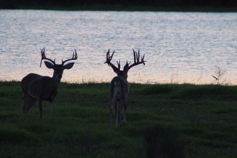 U.S. 277, Eagle Pass, TX 78852 LandWatch