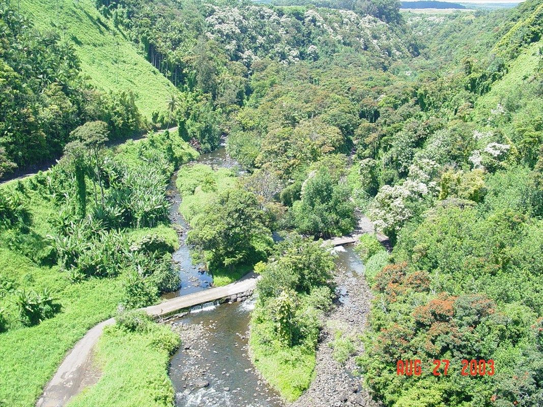 Hakalau, Hawaii County, HI Undeveloped Land, Lakefront Property