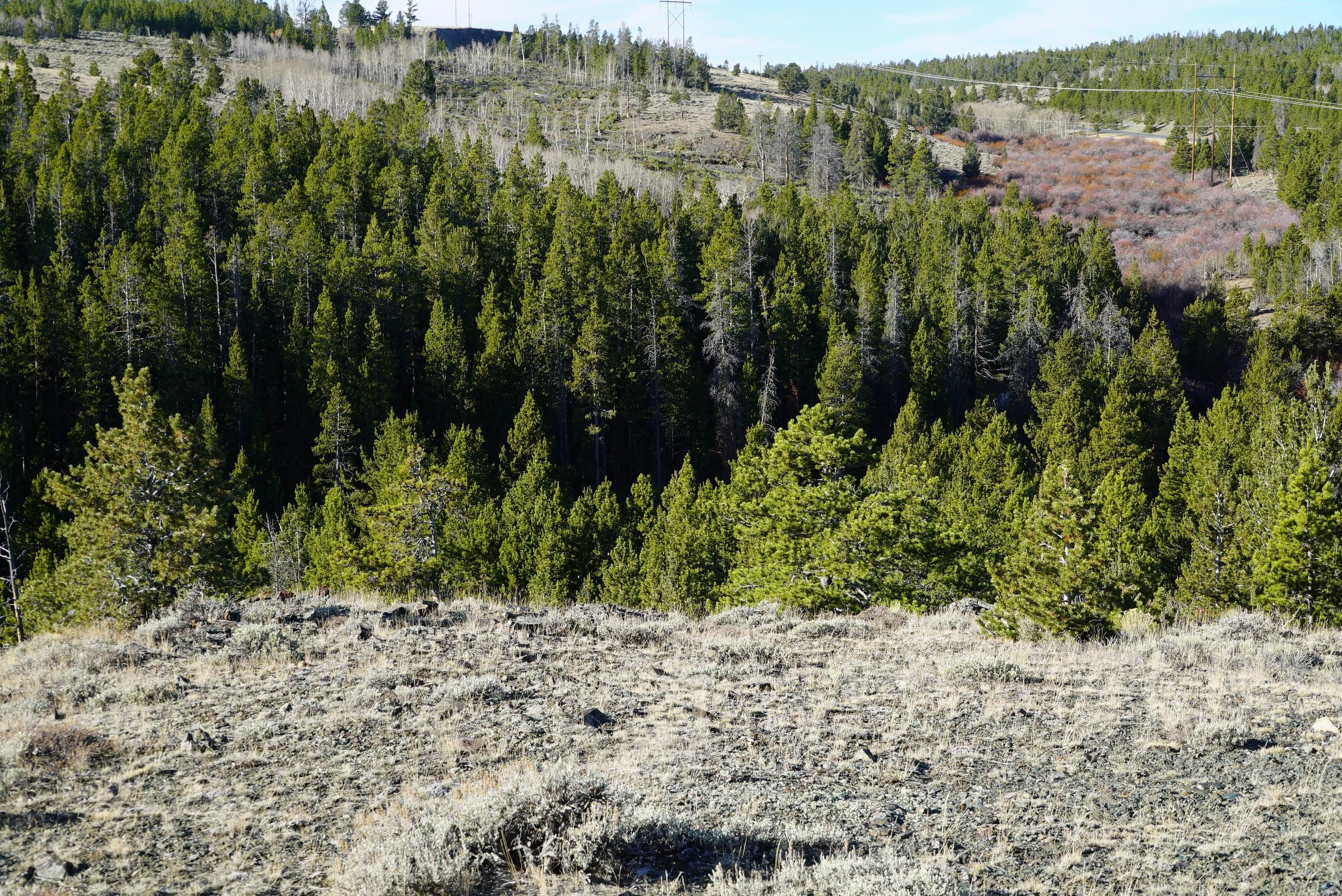 Lander, Fremont County, WY Farms and Ranches, Recreational Property, Hunting Property for sale