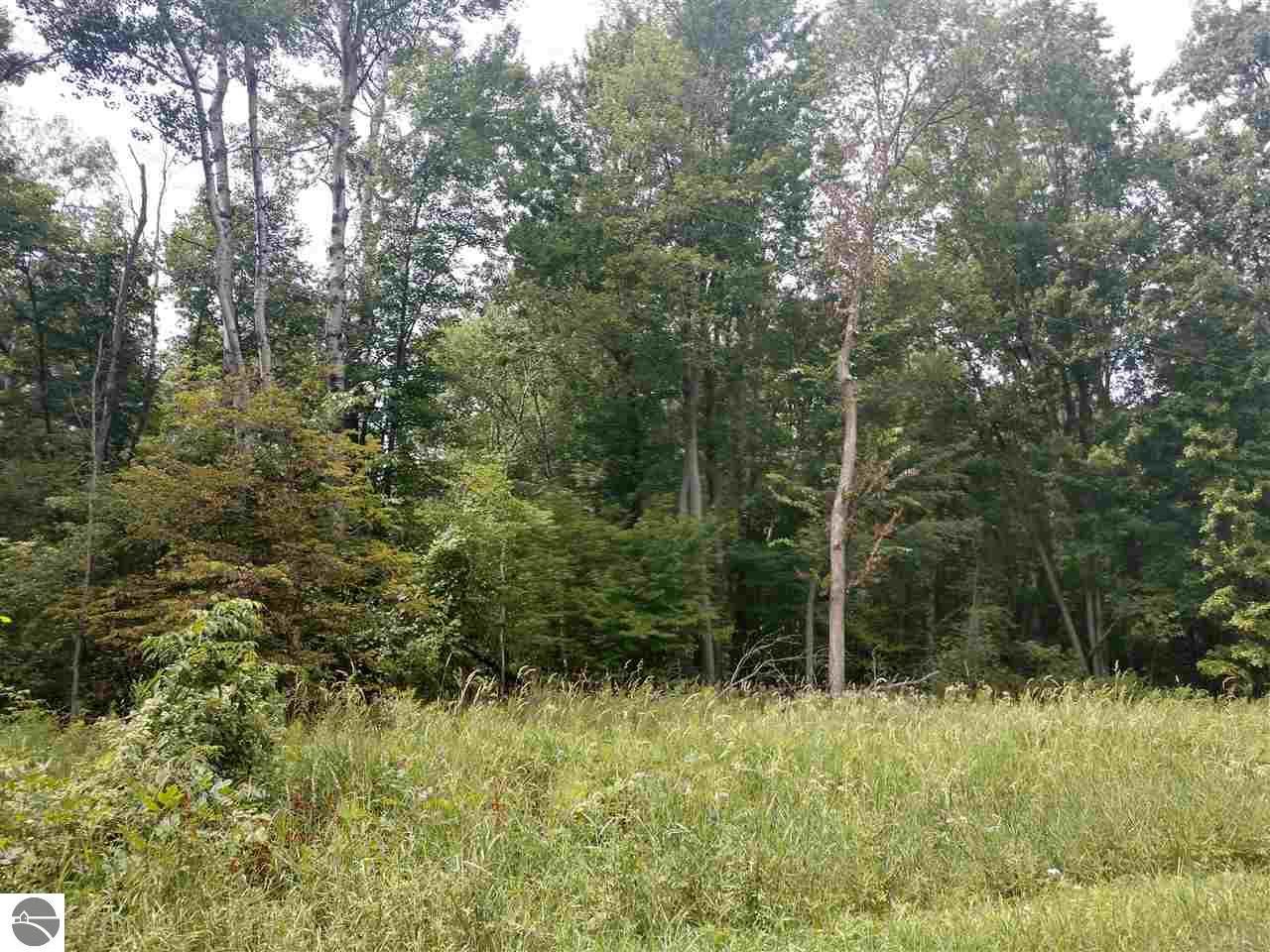 Au Gres, Arenac County, MI Undeveloped Land, Lakefront Property